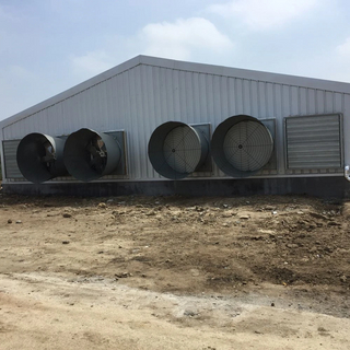 Galpão para Aves Estrutura Pré-fabricada em Aço Galvanizado