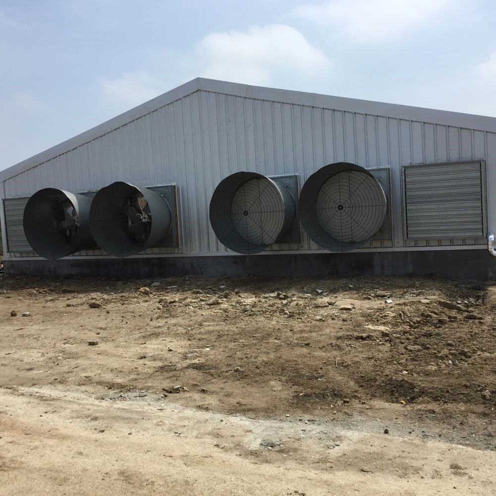 Galpão para Aves Estrutura Pré-fabricada em Aço Galvanizado