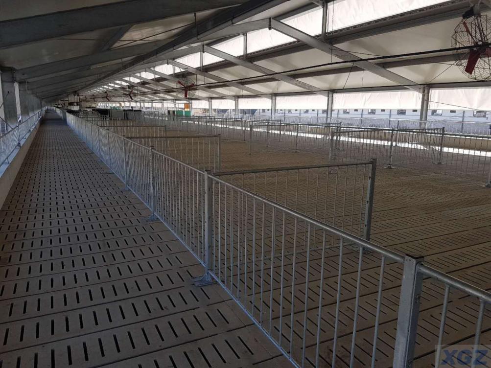 Fazenda de porcos pré-fabricada com estrutura de aço galvanizado