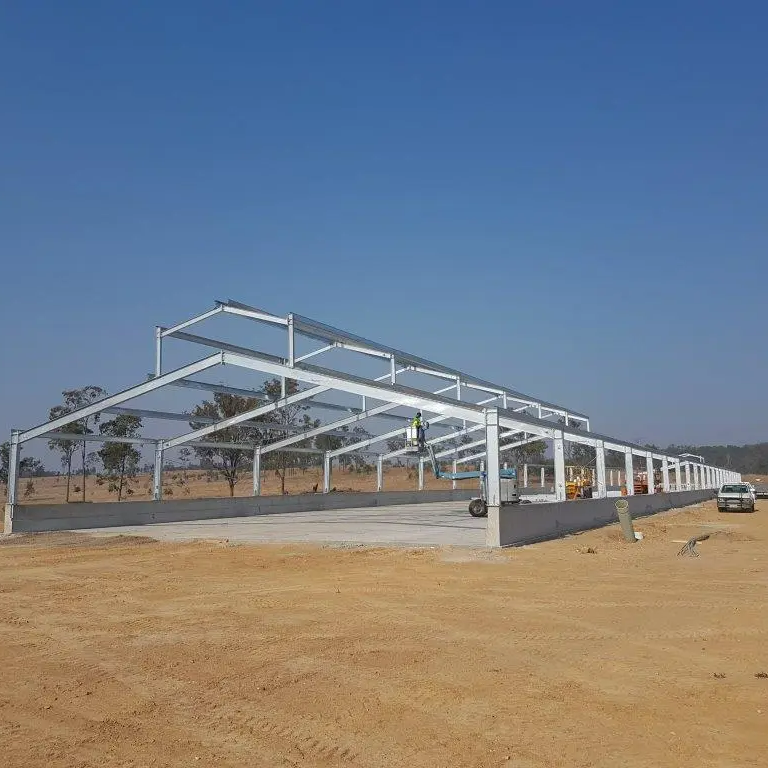 Fazenda de porcos pré-fabricada com estrutura de aço galvanizado