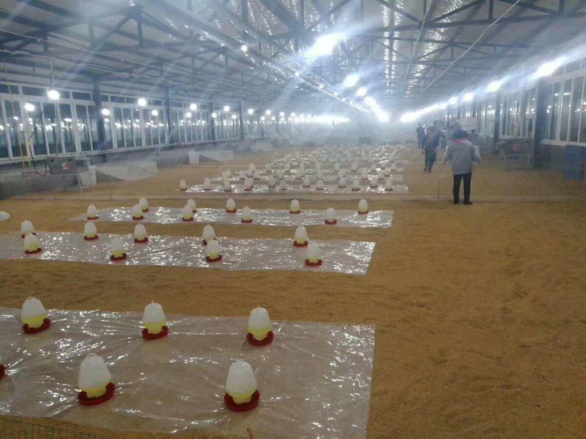 Galpão para Aves Estrutura Pré-fabricada em Aço Galvanizado