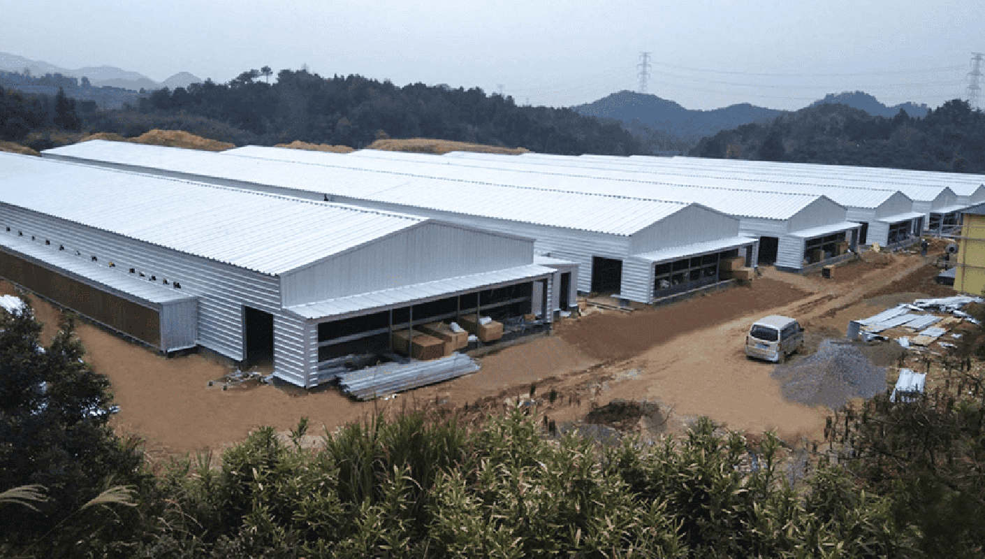 Aviário Estrutura de Aço Preço Baixo